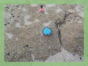 北茨城市磯原町、土地の画像です