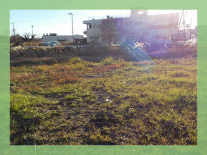 北茨城市大津町、土地の画像です
