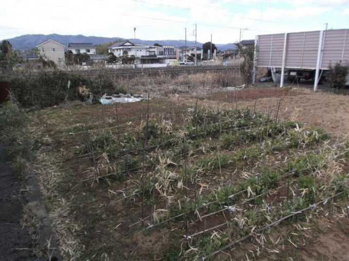 北茨城市中郷町、土地の画像です