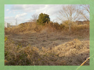 北茨城市関南町、土地の画像です