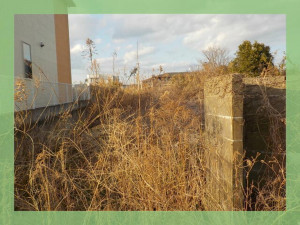 北茨城市関南町、土地の画像です