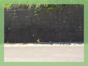 北茨城市大津町、土地の画像です