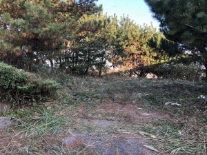 北茨城市中郷町、土地の画像です