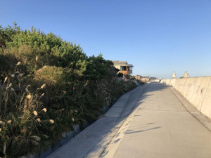 北茨城市中郷町、土地の画像です