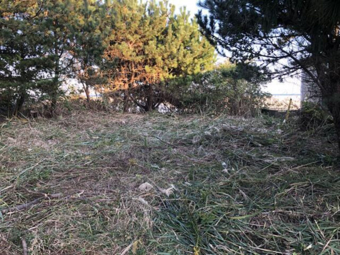 北茨城市中郷町、土地の画像です