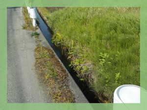 北茨城市関南町、土地の画像です