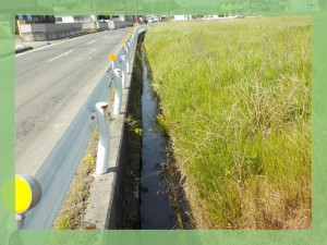 北茨城市関南町、土地の画像です