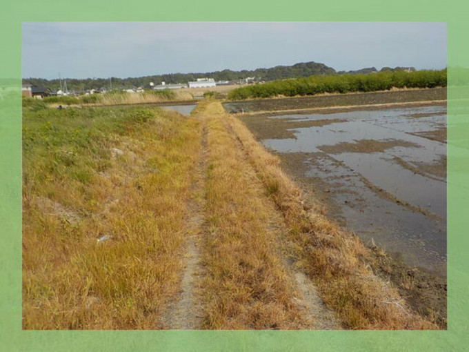 北茨城市関南町、土地の画像です