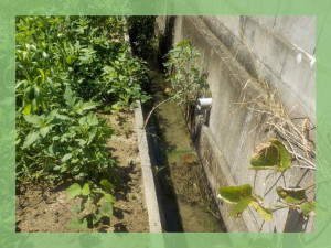 北茨城市中郷町、土地の画像です