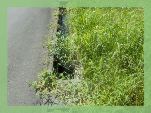 北茨城市中郷町、土地の画像です