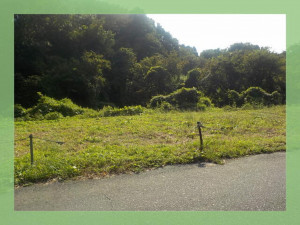 北茨城市大津町、土地の画像です