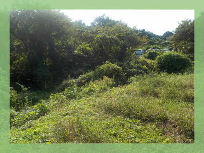 北茨城市大津町、土地の画像です