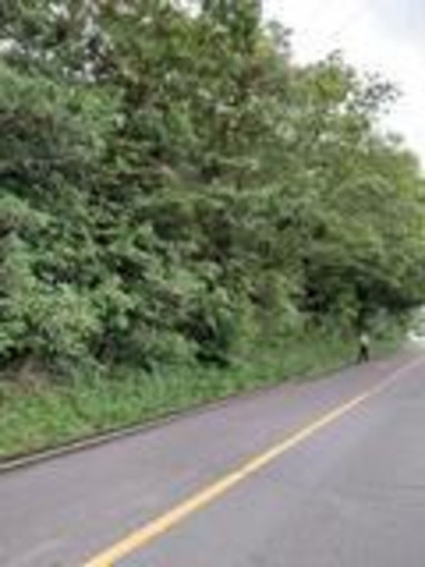 四日市市小山町、土地の画像です