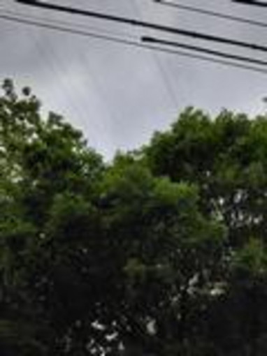 四日市市小山町、土地の画像です