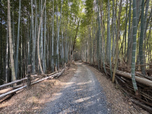 四日市市中村町、土地の画像です