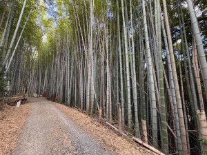 四日市市中村町、土地の画像です