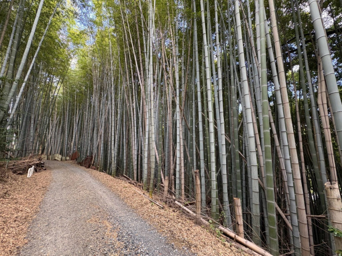 四日市市中村町、土地の画像です