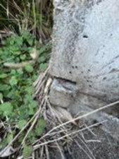 四日市市西坂部町、土地の画像です