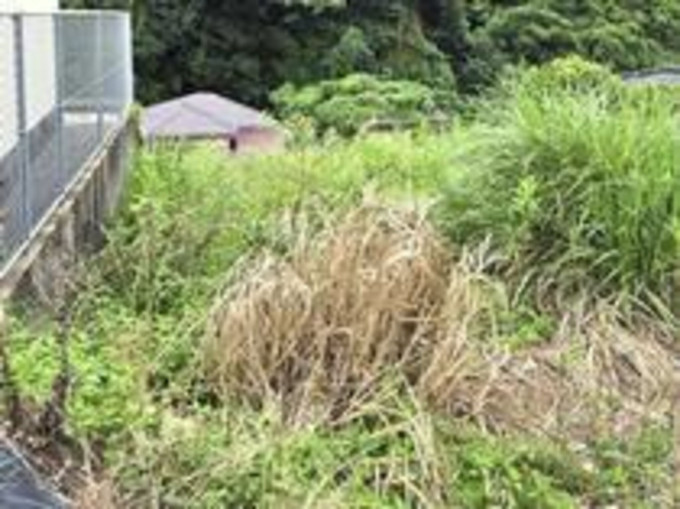 鹿児島市南新町、土地の画像です