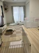 鹿児島市田上、中古一戸建ての画像です