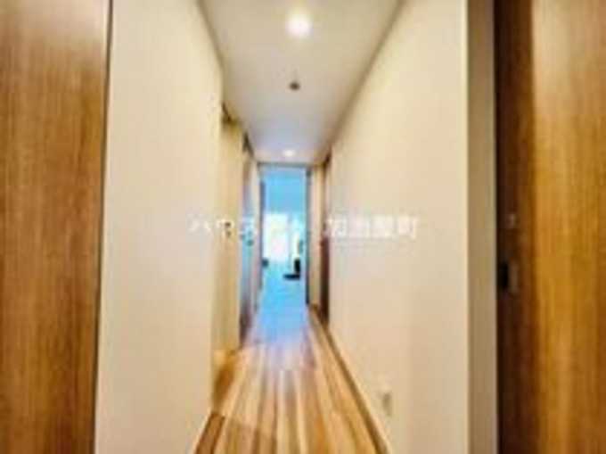 鹿児島市照国町、中古マンションの画像です