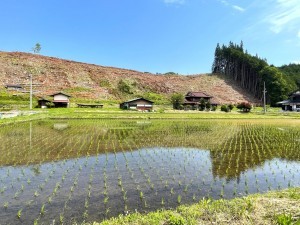 高山市久々野町小屋名、中古一戸建ての画像です