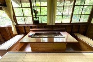 高山市久々野町無数河、中古一戸建ての画像です