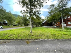 高山市荘川町六厩、土地の画像です