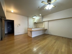 下呂市少ヶ野、マンションの画像です