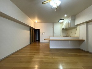 下呂市少ヶ野、マンションの画像です