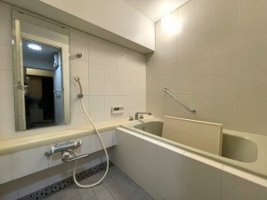 下呂市少ヶ野、マンションの画像です