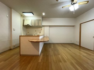 下呂市少ヶ野、マンションの画像です