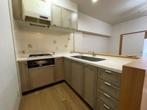 下呂市少ヶ野、マンションの画像です