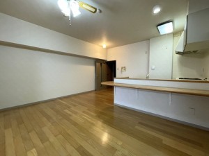 下呂市少ヶ野、マンションの画像です