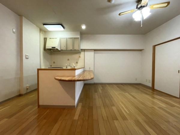 下呂市少ヶ野、マンションの画像です