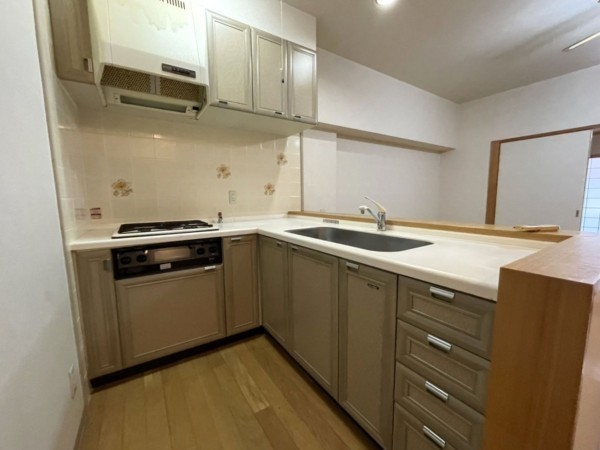 下呂市少ヶ野、マンションの画像です