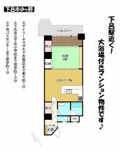 下呂市少ヶ野、マンションの間取り画像です