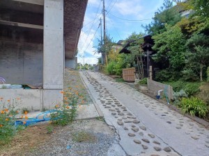 郡山市大槻町、中古一戸建ての画像です