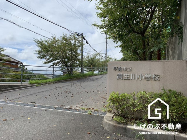 甲賀市水口町三大寺、土地の画像です