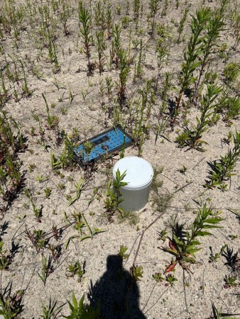 射水市手崎、土地の画像です