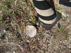 富山市五艘、土地の画像です