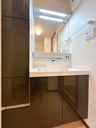 富山市稲荷元町、マンションの洗面画像です