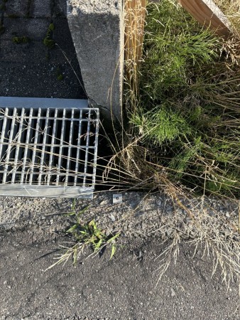 富山市上八日町、土地の画像です