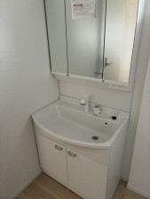 滑川市上小泉、新築一戸建ての洗面画像です