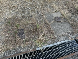 富山市横内、土地の画像です