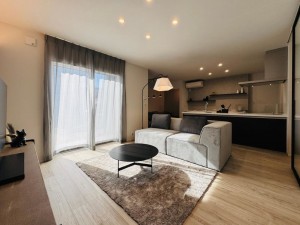 富山市中島、新築一戸建ての画像です