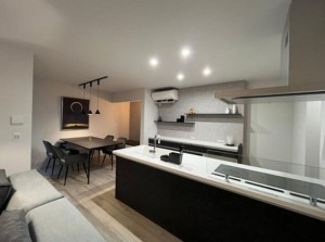 富山市中島、新築一戸建ての画像です