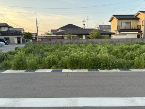 富山市下大久保、土地の外観画像です