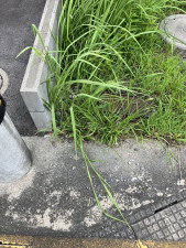 富山市荒川、土地のその他画像です