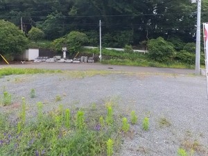 甲府市古府中町、土地の画像です
